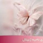 روشن سازی ناحیه ژنیتال در شهریار - دکتر زیبایی زنان شهریار دکتر اکرم قرامحمدی